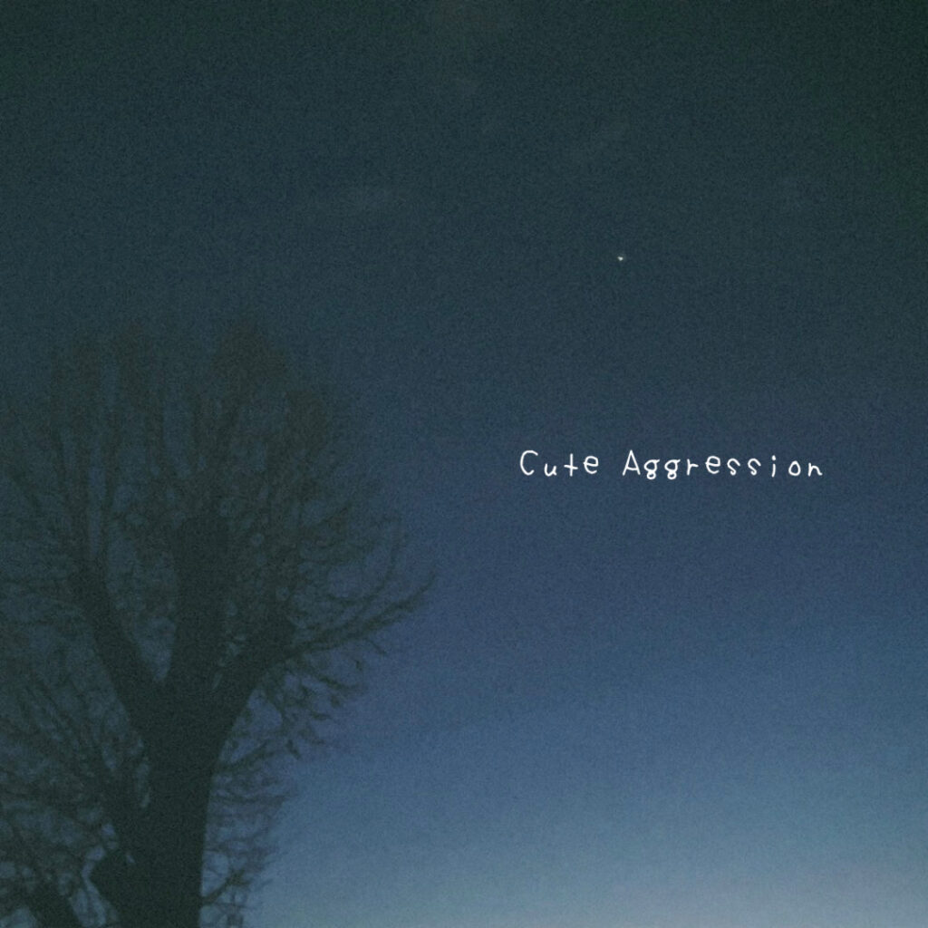 Night to Lie「Cute Aggression」